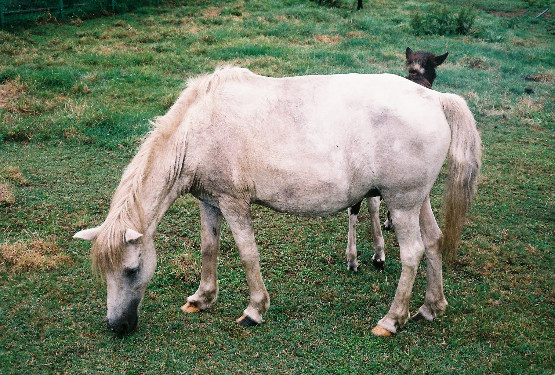 header_image